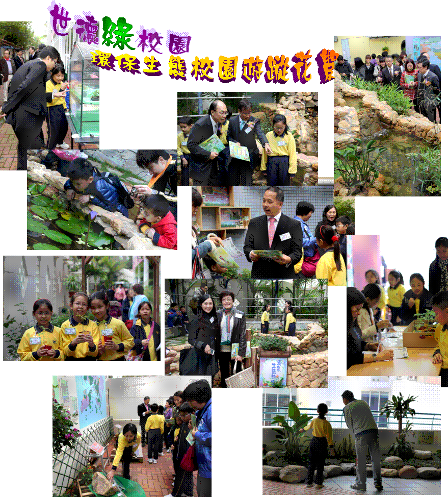 世德   校園,綠,環保生態校園遊蹤花絮